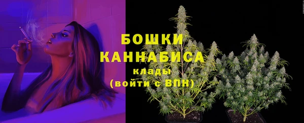 PSILOCYBIN Кулебаки