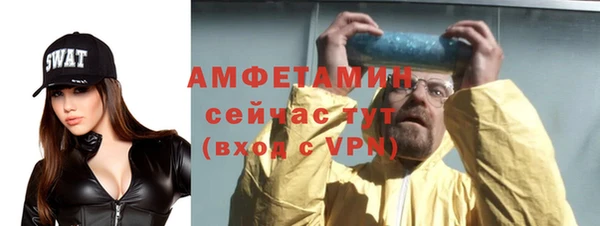 шишки Лабытнанги