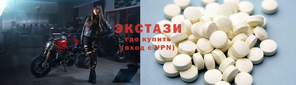 шишки Лабытнанги