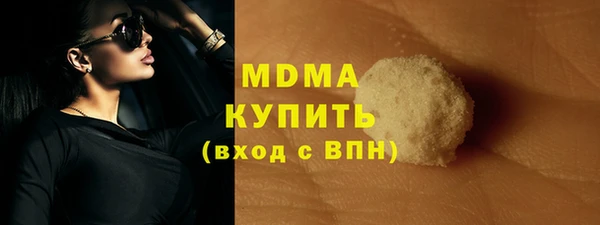 шишки Лабытнанги
