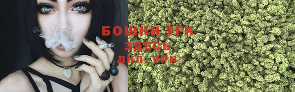 шишки Лабытнанги