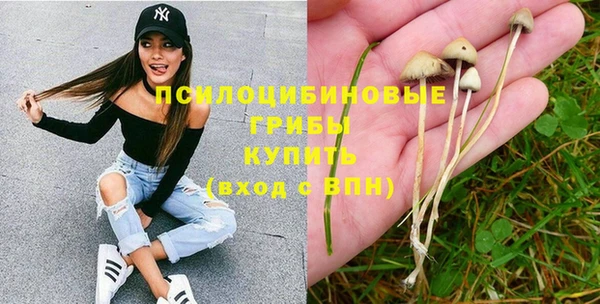 PSILOCYBIN Кулебаки